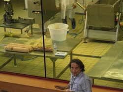 Juan Tibau Font, director, explained all details of the IRTA research processes to everybody.