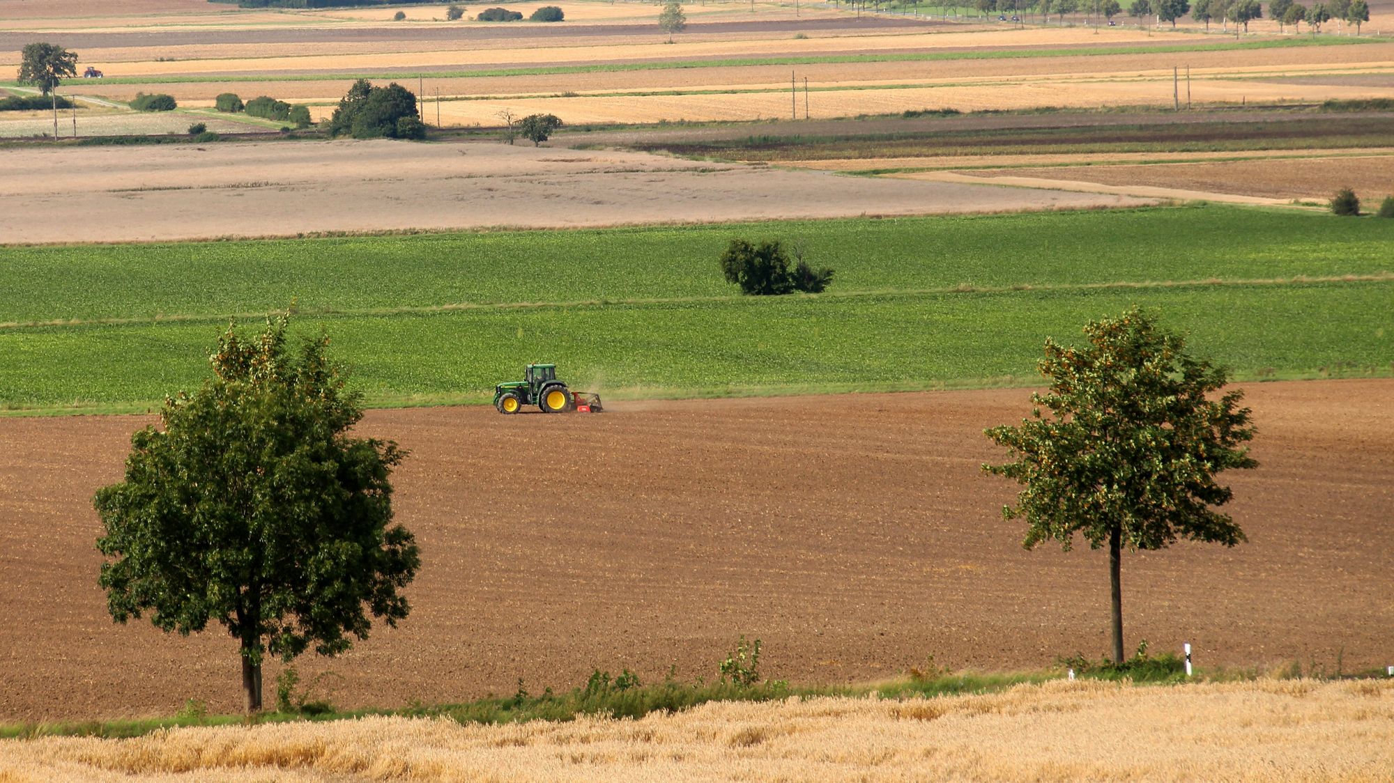 Field landscape with tractor and trees