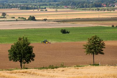 Field landscape with tractor and trees