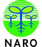 Logo Naro, Japan